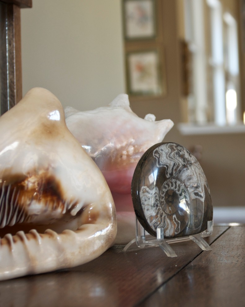 Entryway - mid-sized contemporary ceramic tile entryway idea in Charleston with beige walls
