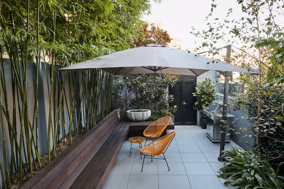 Inspiration for a small contemporary courtyard garden for summer in Sydney with concrete pavers.