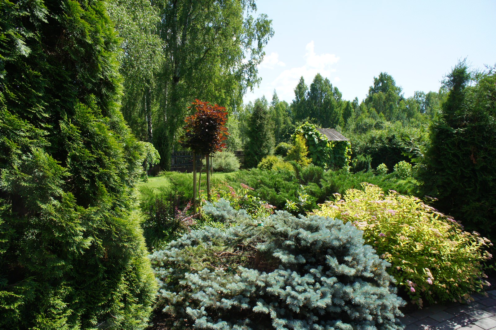 Деревенский сад