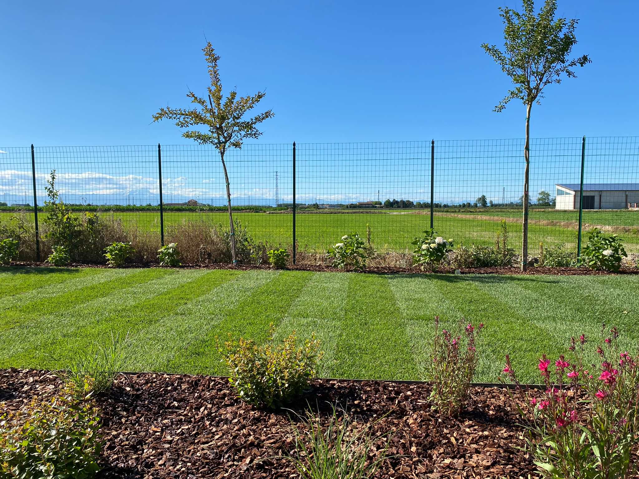 Realizzazione Giardino per villa moderna
