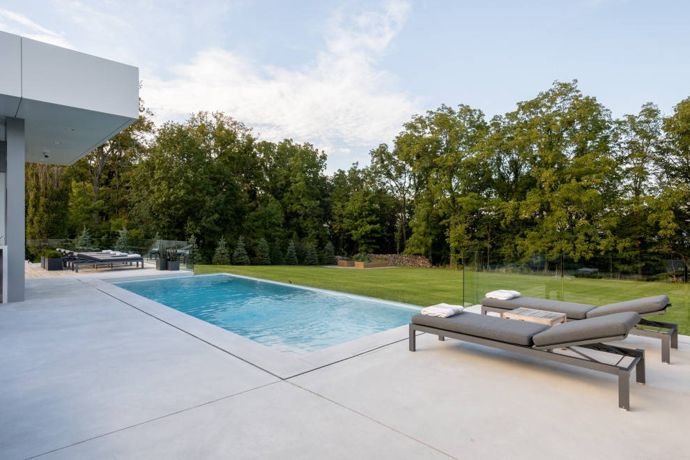 Ispirazione per una piccola piscina a sfioro infinito design rettangolare dietro casa con lastre di cemento