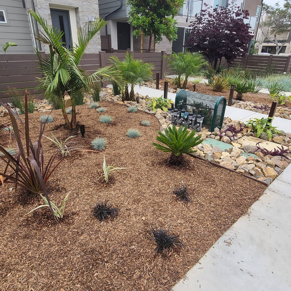 Design ideas for a small tropical front yard full sun xeriscape for summer in San Diego with with flowerbed and mulch.