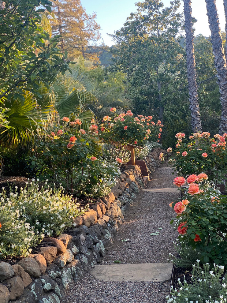 Ispirazione per un grande giardino mediterraneo esposto in pieno sole in cortile in estate con graniglia di granito