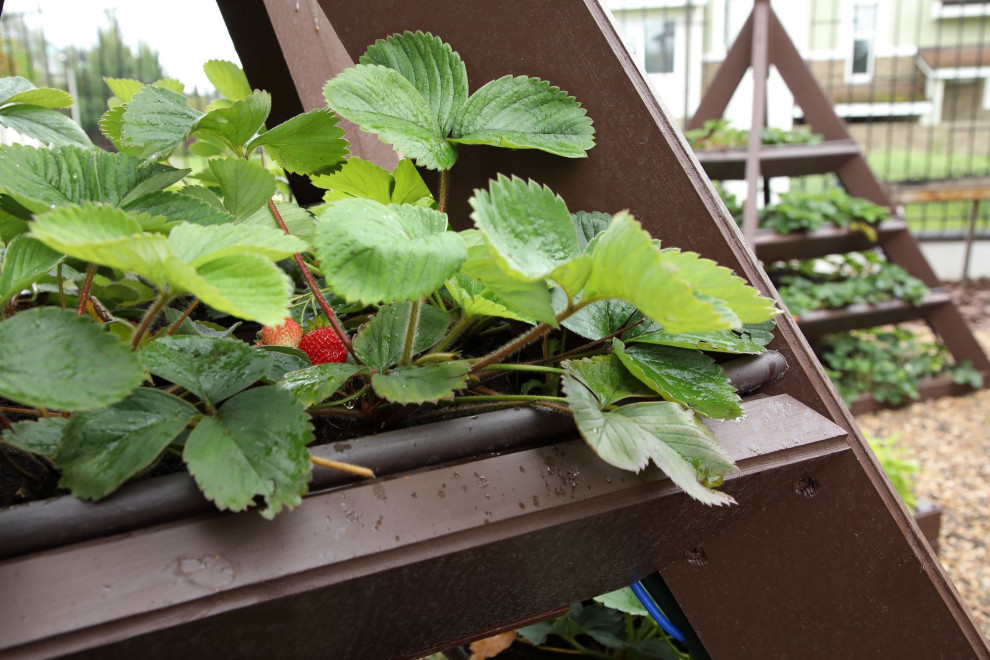 Участок в Старбеево.