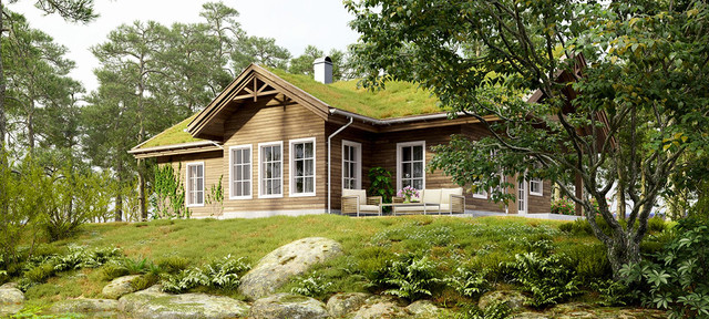 3D Rendering transitional