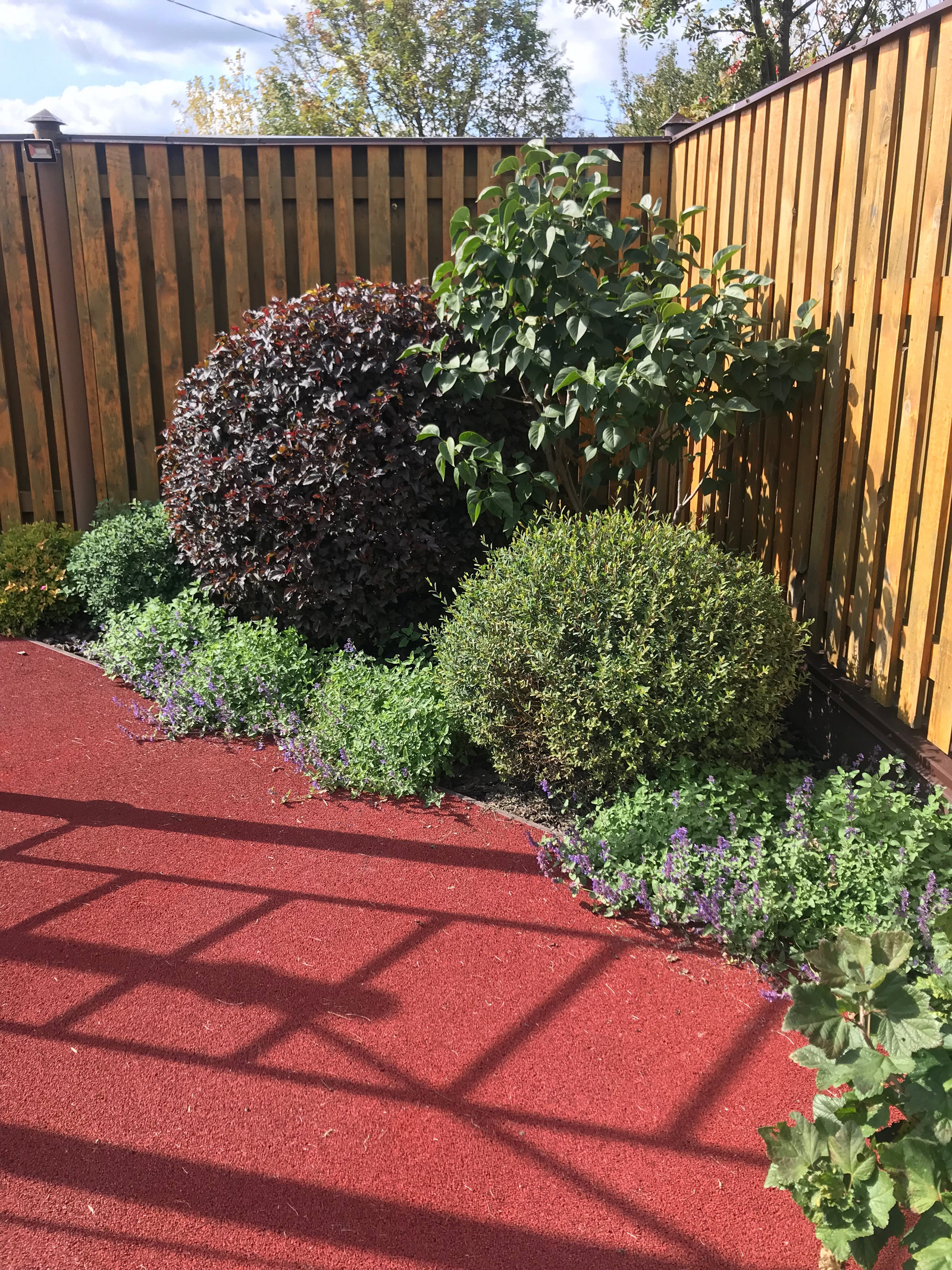 Садовый минимализм