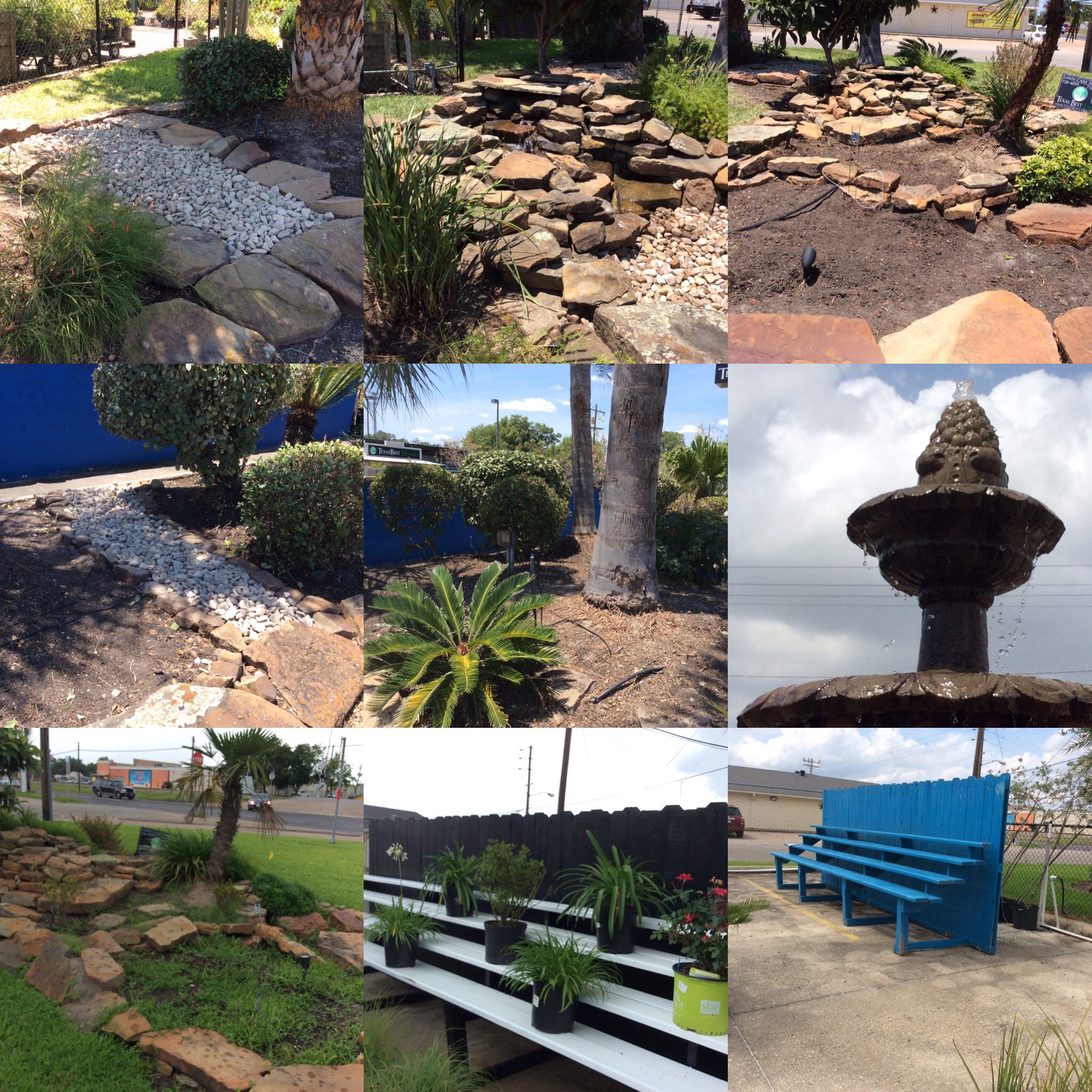 Texas Best Nursery Revitalization