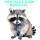 USA Raccoon Removal - Syracuse NY