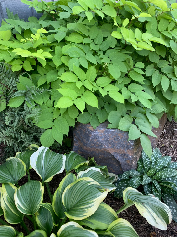 Minneapolis Functional Landscape