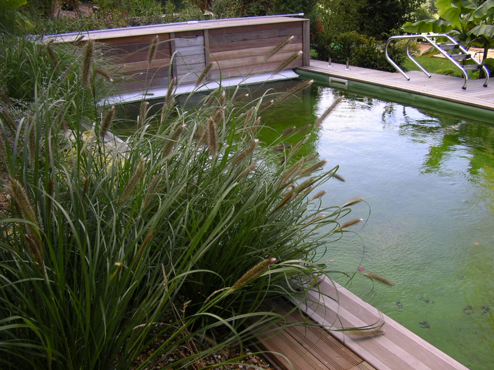 Piscine naturelle