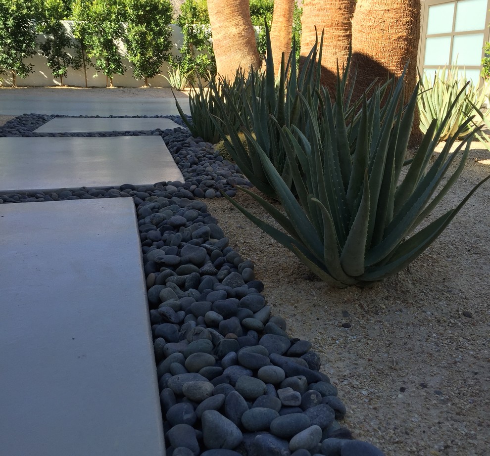 Photo of a large midcentury front yard garden in Los Angeles with a garden path and gravel.