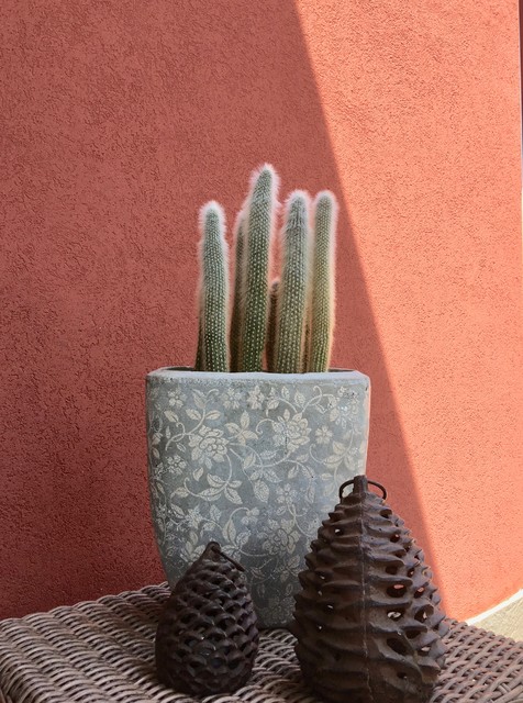 Idee per una veranda contemporanea