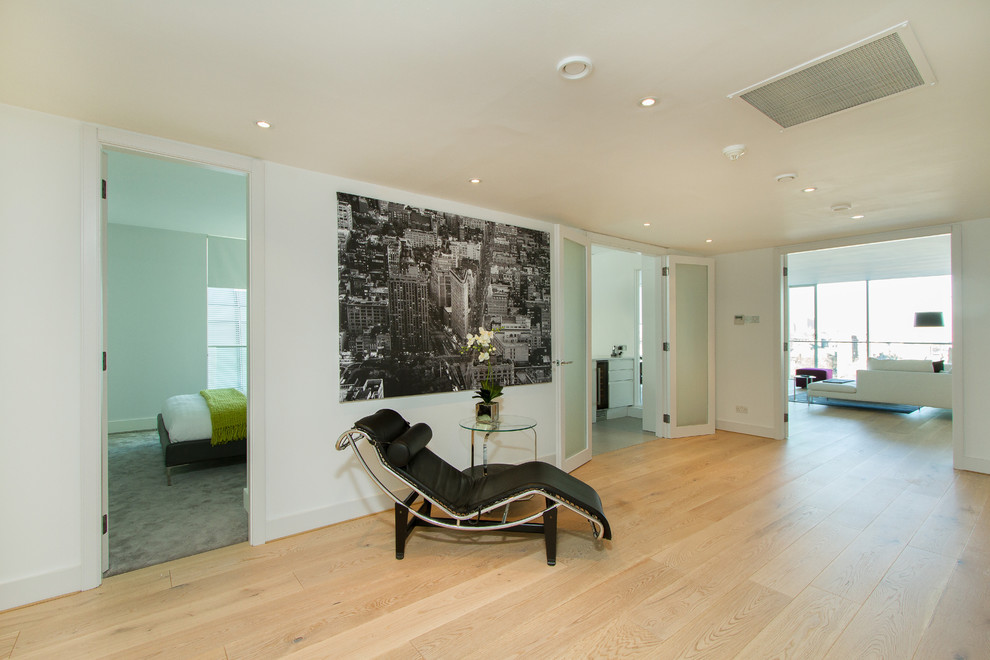 Design ideas for a contemporary hallway in London with white walls and light hardwood floors.