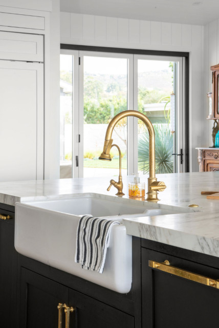 CDM Kitchen transitional-kitchen