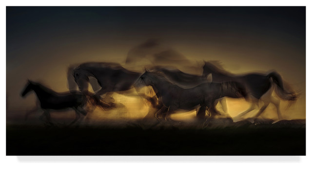 Milan Malovrh Out Of Hell Canvas Art Contemporary Prints And Posters By Trademark Global