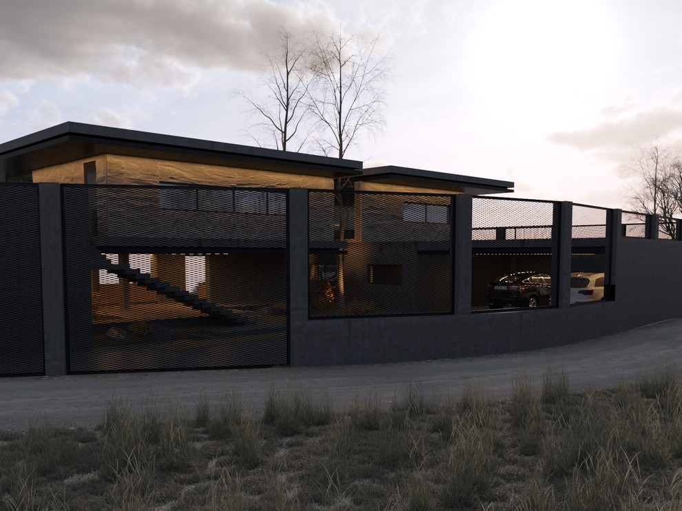 Задний фасад с подъездной дорожкой