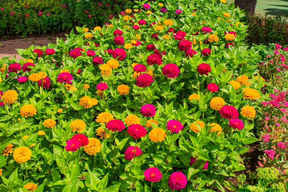 ЛАНДШАФТНЫЙ ПАРК ВДНХ Г.МОСКВА