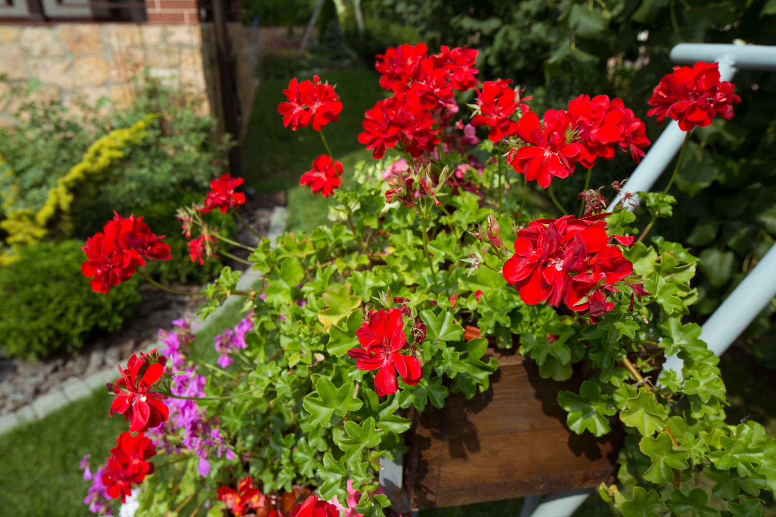 Уличные кашпо