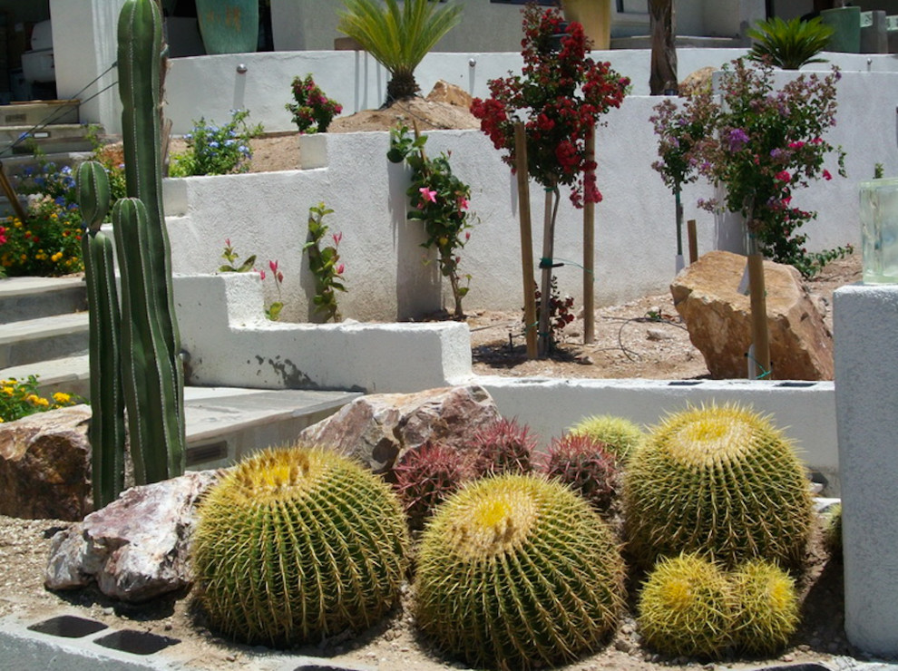 This is an example of a rustic landscaping in Phoenix.