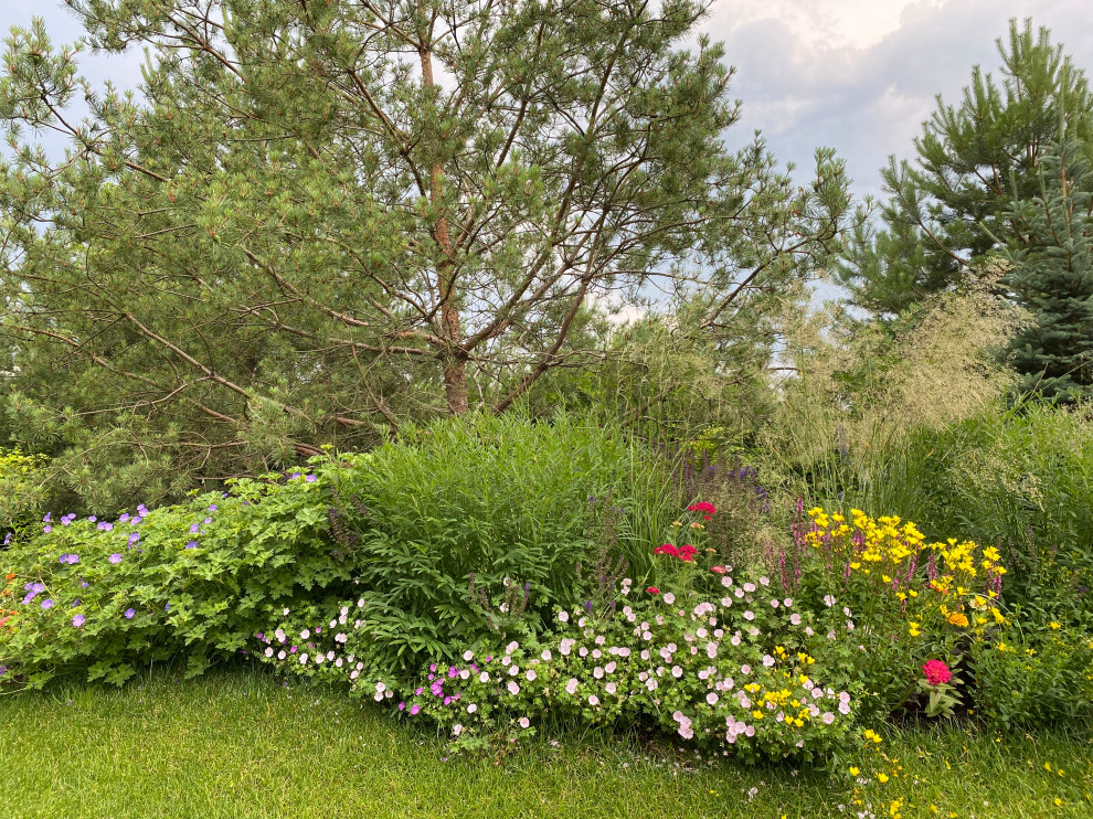 КП Пестово "Evergreen'