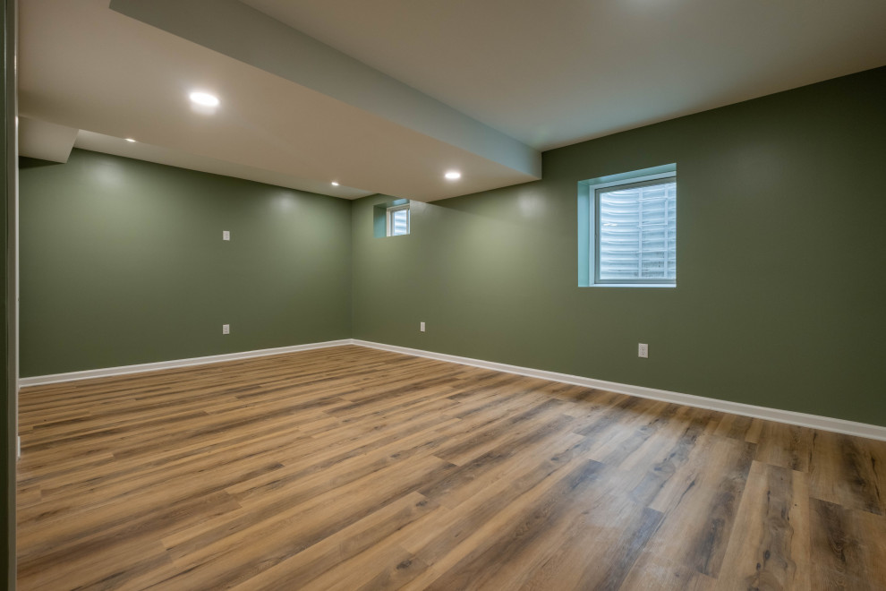 Rush Basement Remodel
