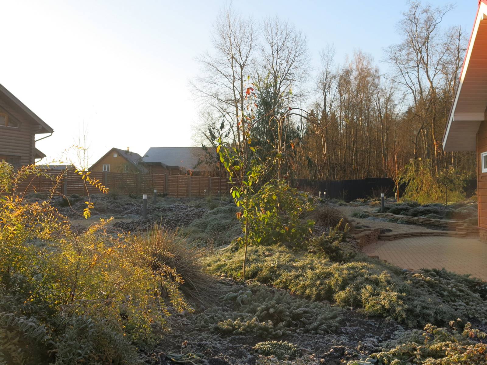 ЯГОДНОЕ ЛУКОШКО. СЕЗОН 2016. ПРЕДЗИМЬЕ. ПЕРВЫЕ ЗАМОРОЗКИ.