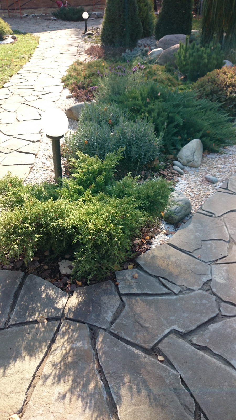 Дорожка из натурального камня (плитняк) и часть центрального цветника