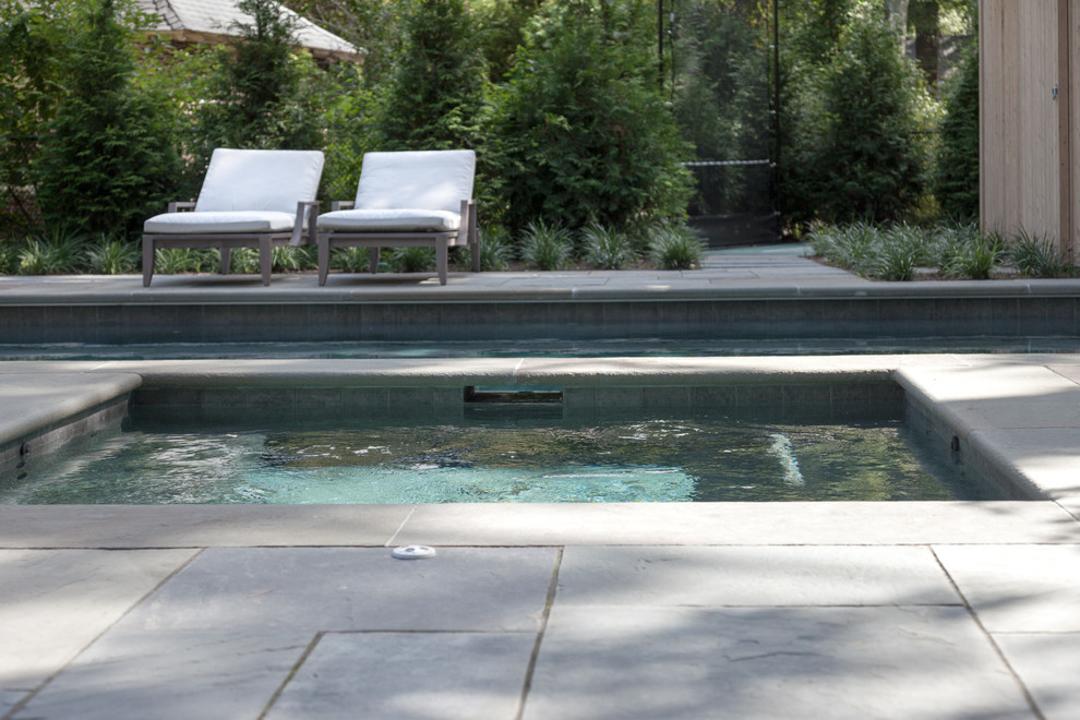 Transitional home design photo in Boston