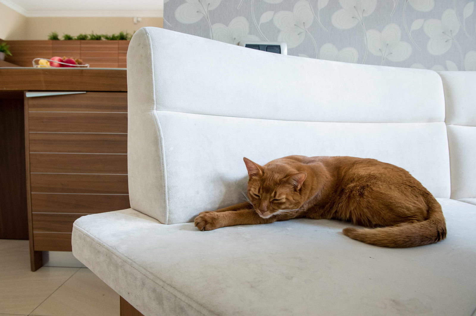 Открытое пространство кухни и гостиной