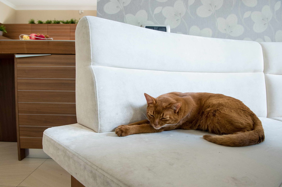 Открытое пространство кухни и гостиной