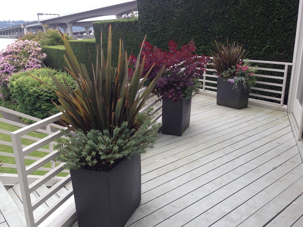 Inspiration for a modern partial sun garden for summer in Seattle with a container garden and decking.