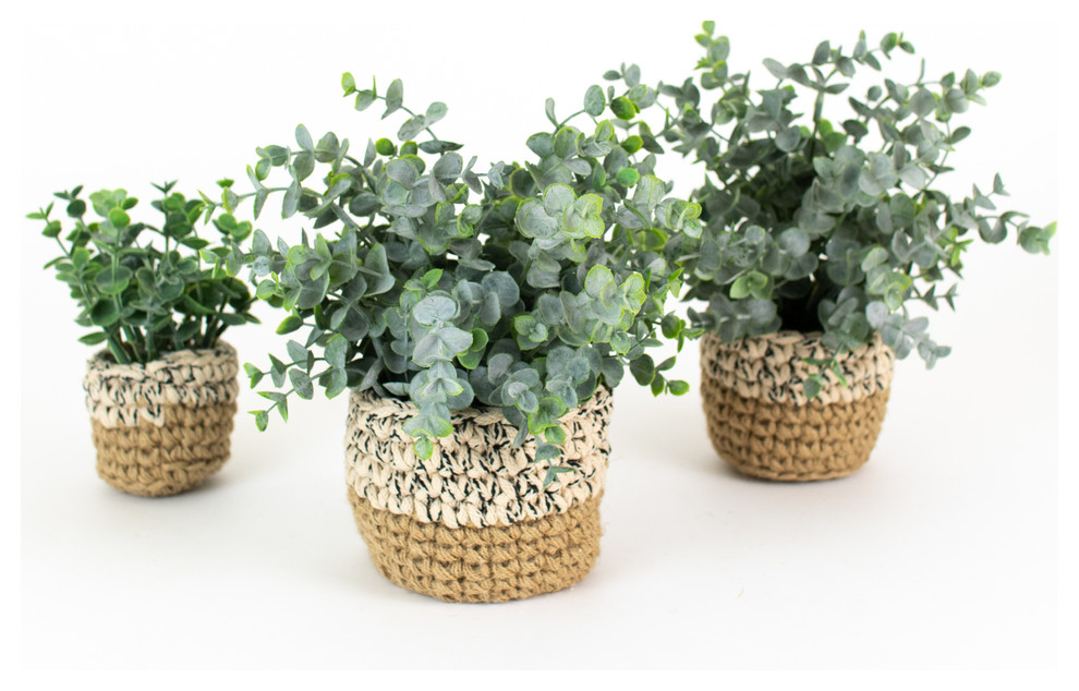 Artificial Eucalyptus Plants, Woven Pots, Set of 3 Traditional