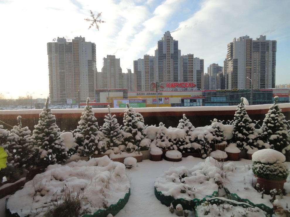 Сад на террасе