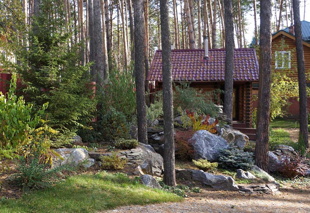 Лесной пейзаж