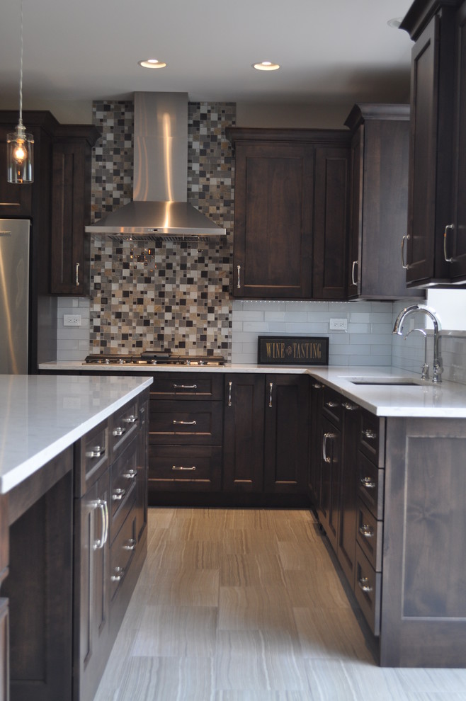 Kitchen - transitional kitchen idea in Chicago