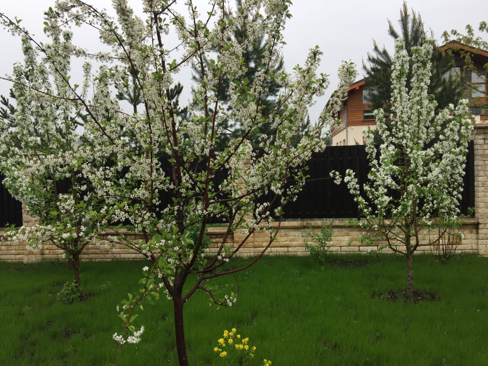 Благоустройство загородного участка