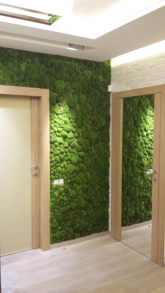 Фотографии со квартир