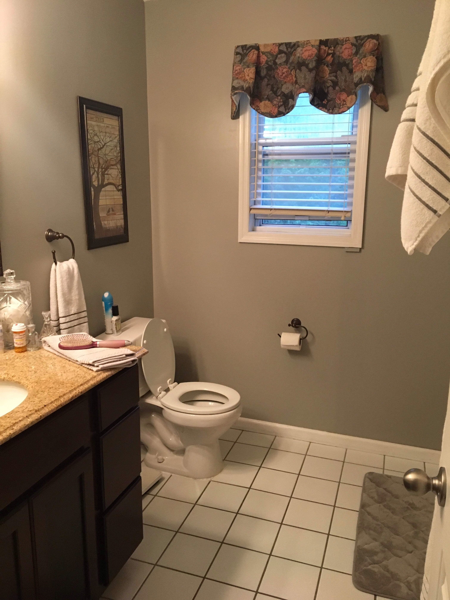 Susan Blackburn's Bathroom Transformation