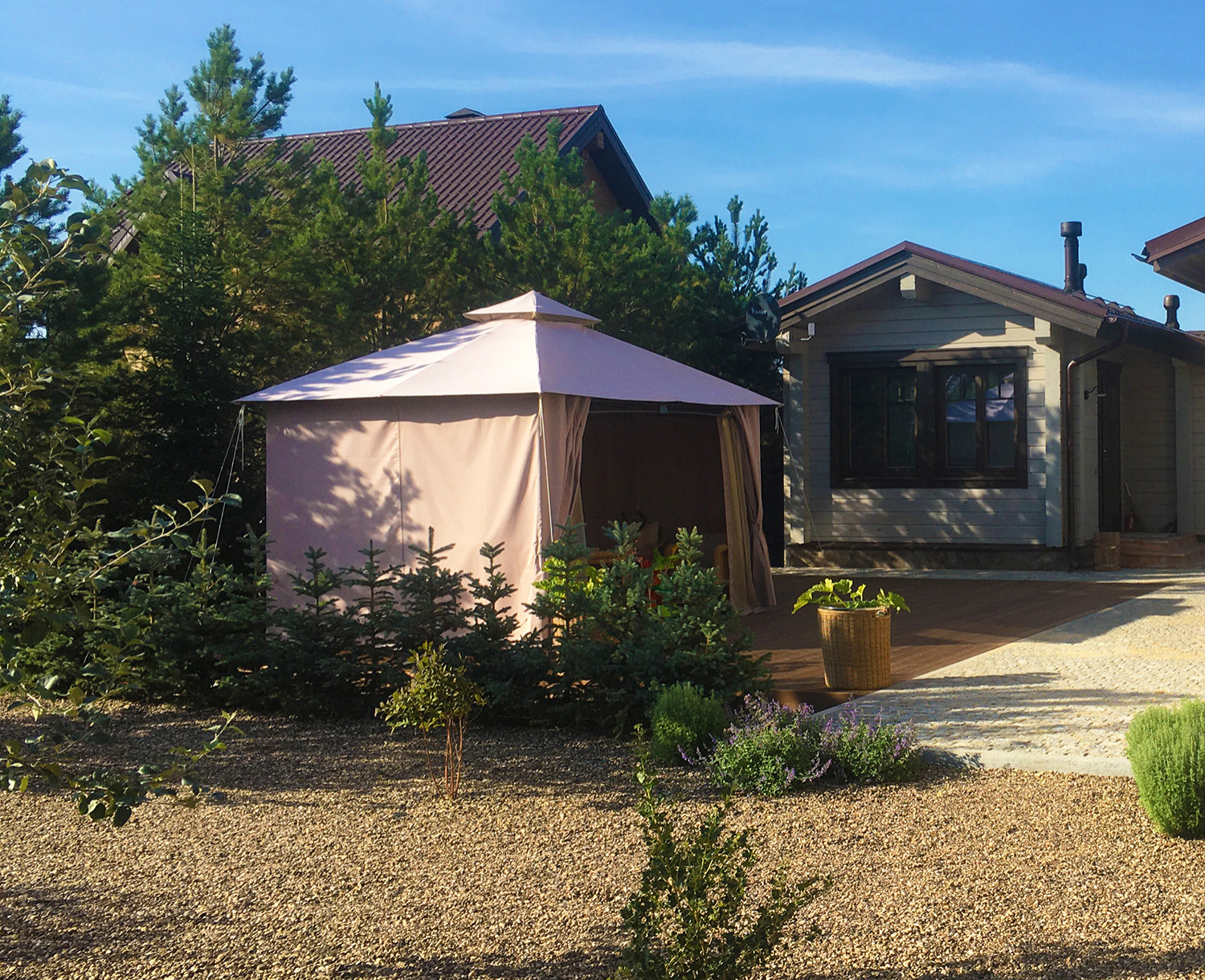 Элимус песчаный в плетеных корзинах и другие сизоватые и серебристые растения