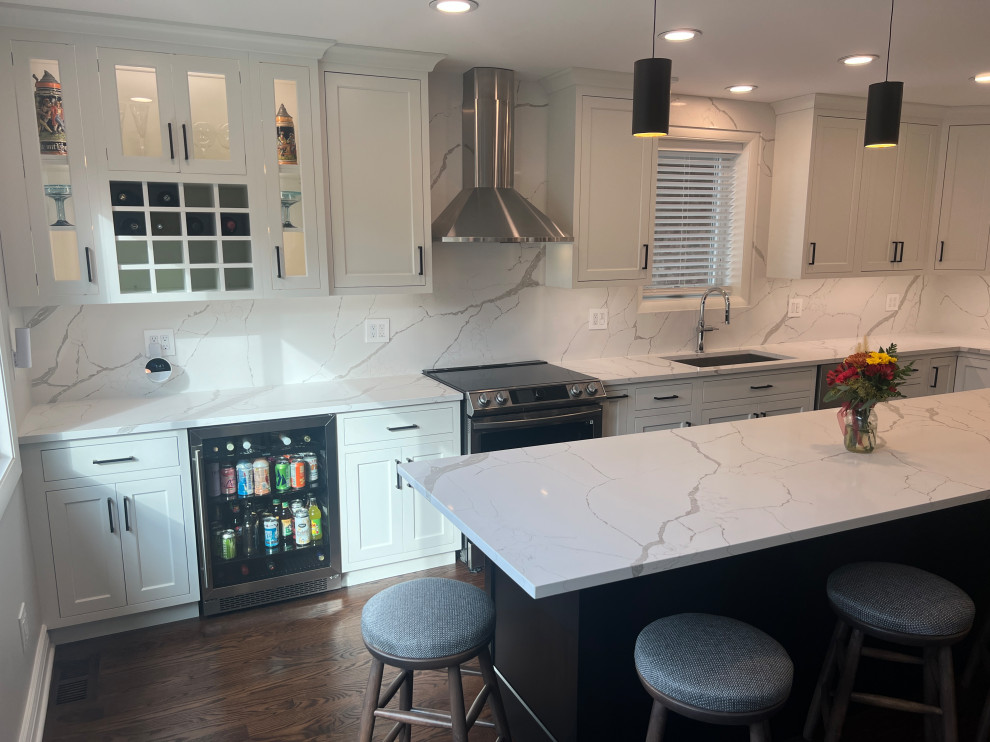 Chicago Kitchen/Dining Renovation