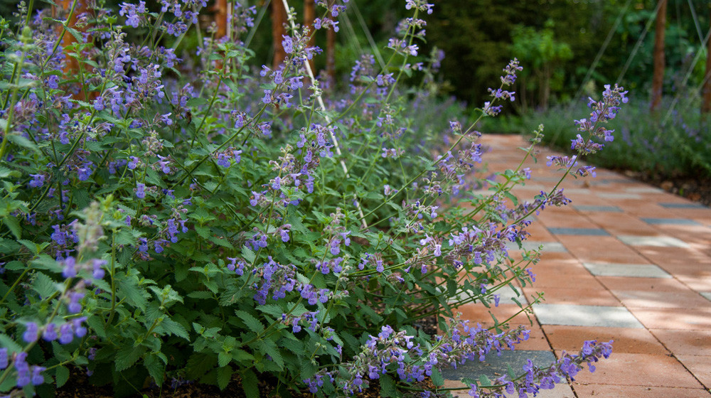 Оттенки синего