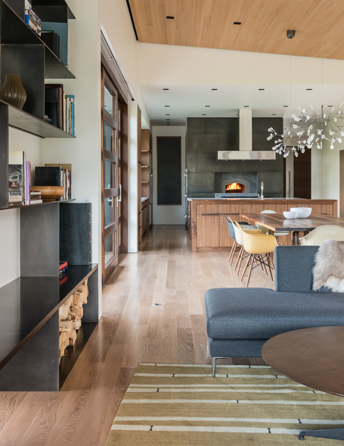 Shoshone Residence contemporary-vardagsrum