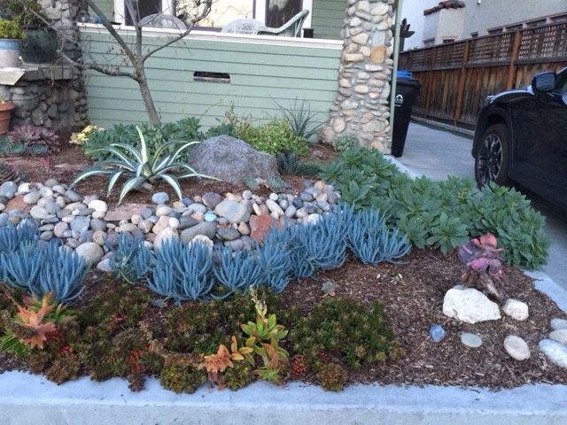 Front yard succulent garden - Contemporary - Landscape - San Francisco - by  User | Houzz