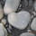 sarah_gordon2193612
