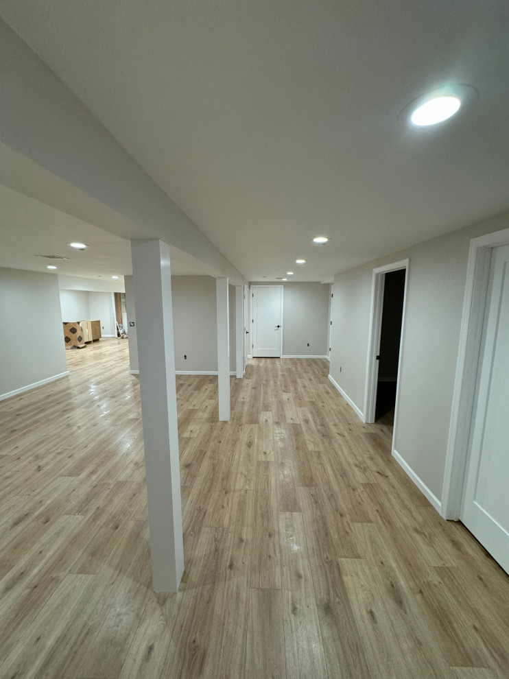 Basement remolding