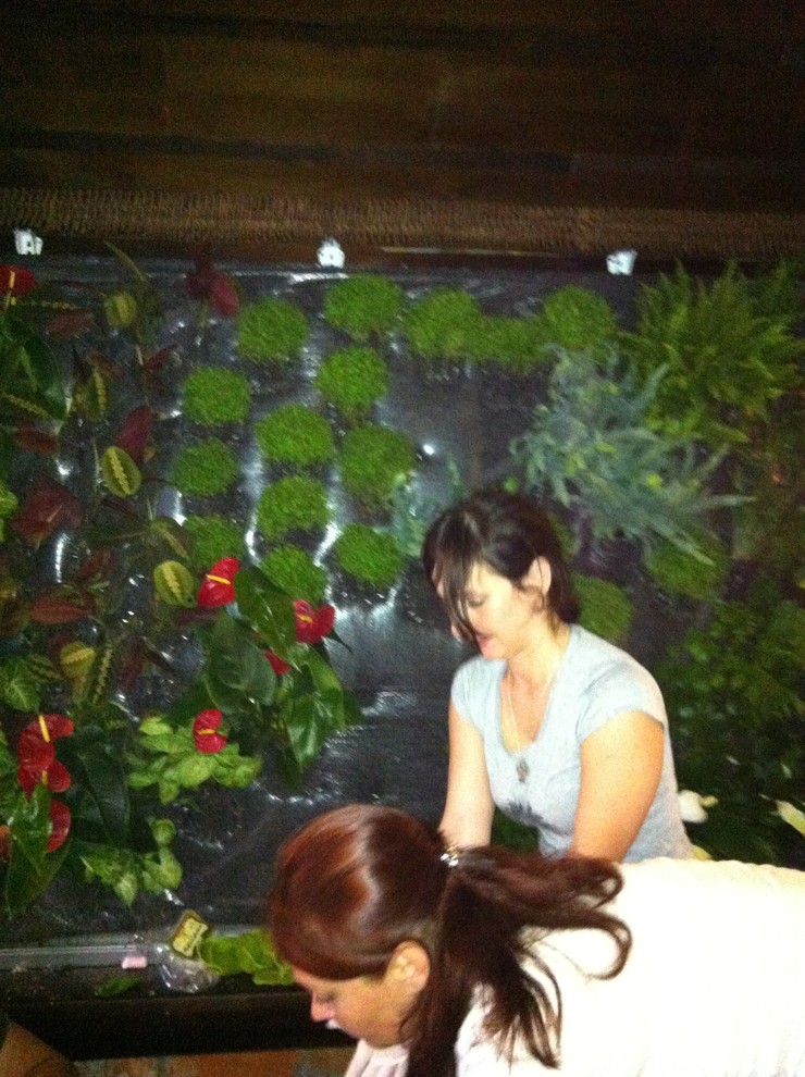 Вертикальные сады