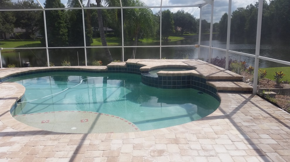 Photo of a large modern backyard pool in Tampa with a water feature and concrete pavers.