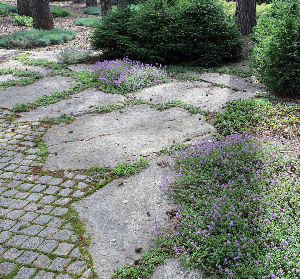 Не нужно бояться темноты