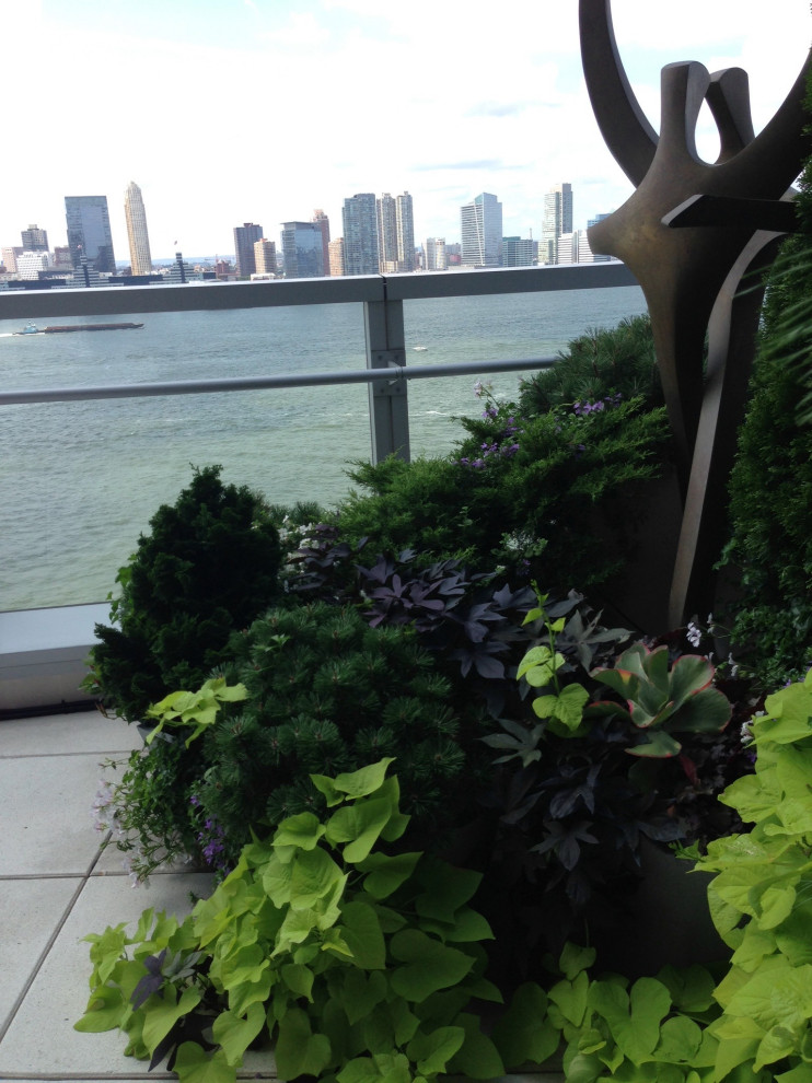 Battery Park City Terrace
