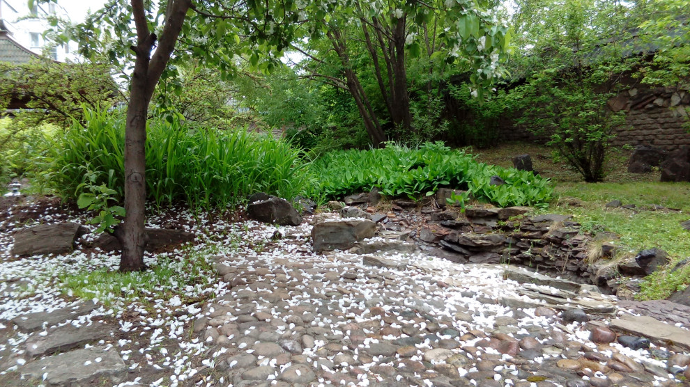 Сад в японском стиле